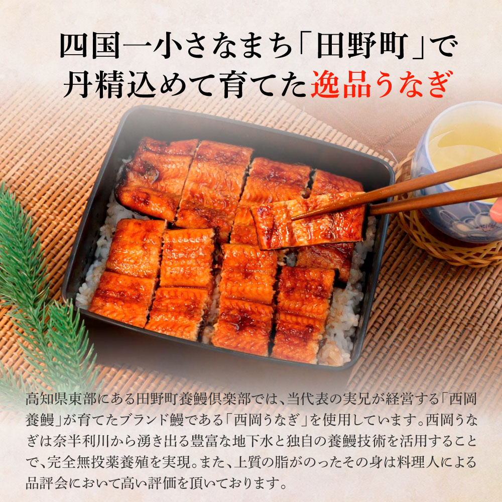 うなぎの蒲焼き(大) 4尾×3回 定期便 3ヶ月 定期コース 1尾あたり120～150g タレ付き 山椒付き うなぎ 鰻 ウナギ 蒲焼き かば焼き 無頭 おいしい 国産 お取り寄せ 冷凍 配送