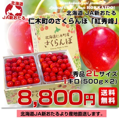 北海道から産地直送 JA新おたる 仁木町のさくらんぼ（紅秀峰） 秀品 2L