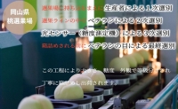 桃 ［2023年先行予約］岡山白桃 ロイヤル 3玉×約300g（3Lサイズ）岡山県産 JAおかやまのもも（早生種・中生種）