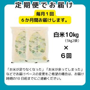 ふるさと納税 白米 10kg 令和6年産 コシヒカリ 岡山 あわくら源流米 K-ag-CDZA 岡山県西粟倉村