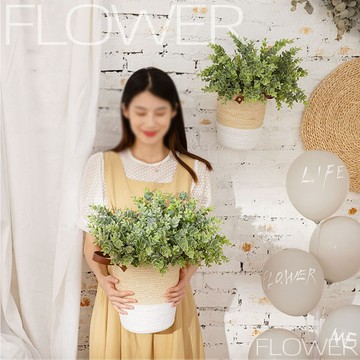 🌿24hr出貨 🌿仿真金錢葉 北歐風 仿真花 植物 尤加利 金錢葉 家居裝飾 婚慶裝飾 綠植盆栽 插花 植物牆 辦公擺設