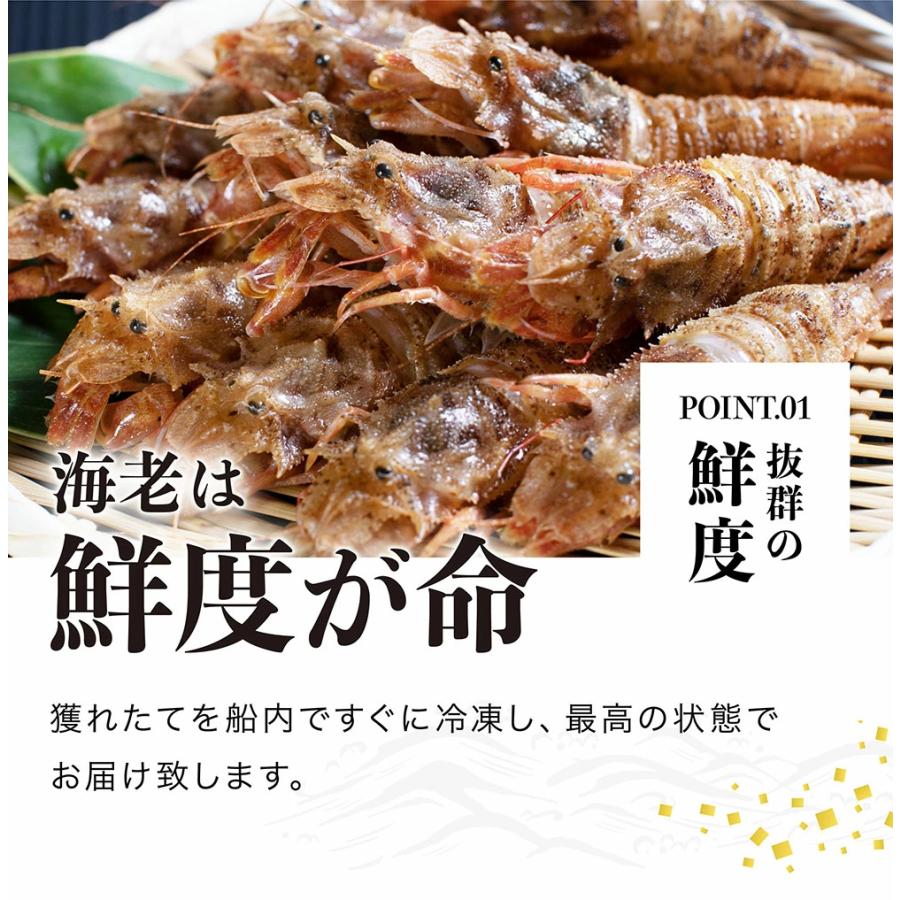 50%OFFクーポン有 希少 エビ えび ゴジラエビ お刺身OK オニエビ750g 約25尾 鬼神エビ イバラモエビ 甘み濃厚 海産物 魚介類