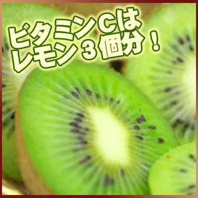 訳ありキウイフルーツ 4kg 送料無料 愛媛県産 フルーツ 旬 果物 わけあり くだもの 食品 おやつ ふぞろい 産地直送