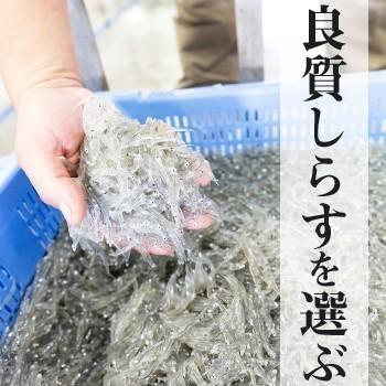 生桜えび100g×2、生しらす100g×2、セット 静岡県産