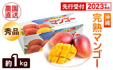 ヤマト農園　完熟マンゴー約1kg（秀品）