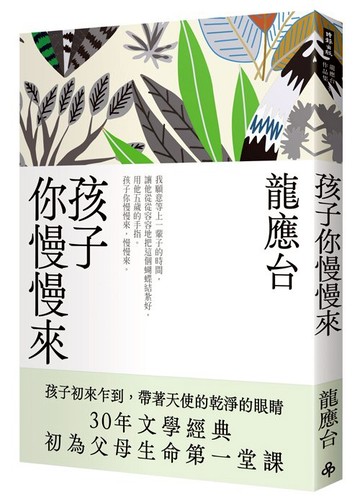 孩子你慢慢來（新裝珍藏版） /龍應台