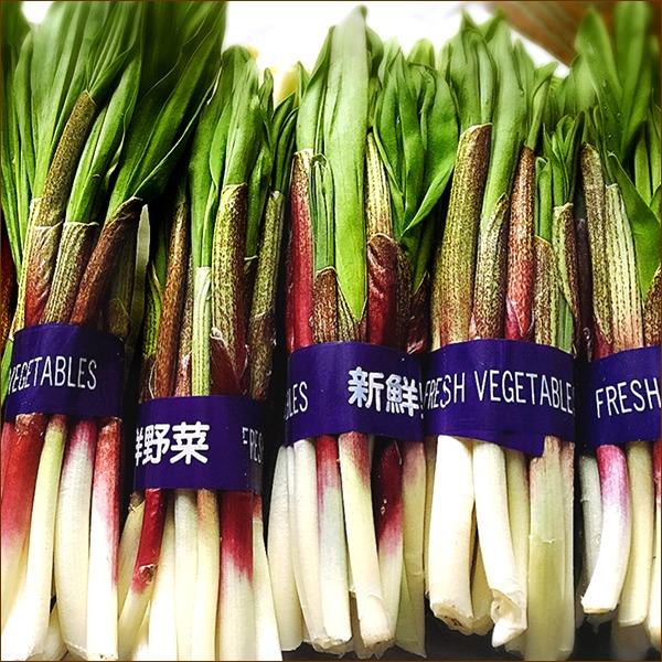 北海道産 山菜 行者にんにく 1kg(食用) 天然 行者ニンニク ギョウジャニンニク キトビロ 自宅用 人気 北海道 グルメ 送料無料 お取り寄せ