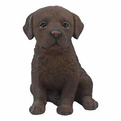 Ebros 本物そっくり チョコレートラブラドールフィギュア 高さ6.75インチ ラブラドールレトリバー 子犬 収集価値あり
