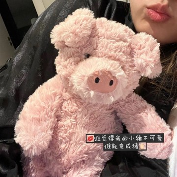 風度嚴選❤️ 巴納布斯小豬 柔軟小豬公仔 安撫毛絨玩具 陪伴寶寶超萌玩偶  生日禮物 房間擺件 兒童禮物