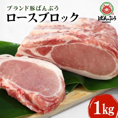 ふるさと納税 小美玉市 ブランド豚「ばんぶぅ」ロースブロック1kg