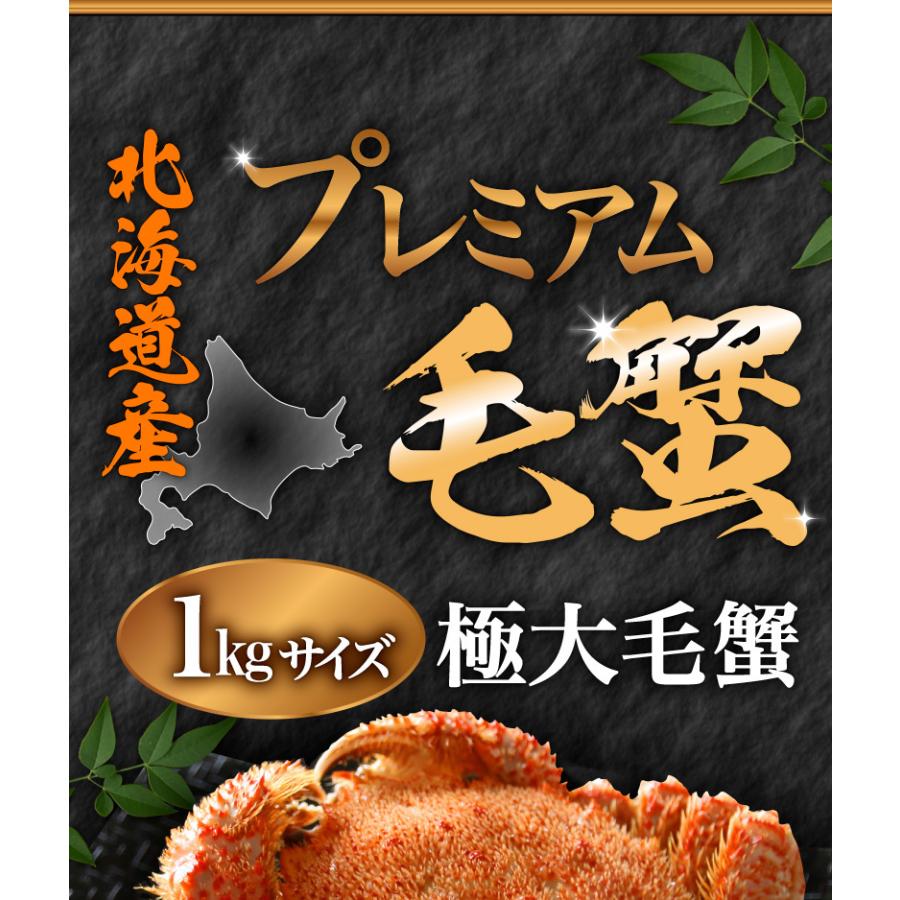 北海道産プレミアム毛蟹 毛ガニ 超特大約1kg（3特・4特）2杯 送料無料 産地直送 Y凍