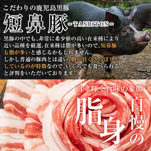 ふるさと納税 a877 《定期便全5回》鹿児島黒豚「短鼻豚」無添加ソーセージ＆長期熟成ベーコンウインナー ウィンナー フランク.. 鹿児島県姶良市