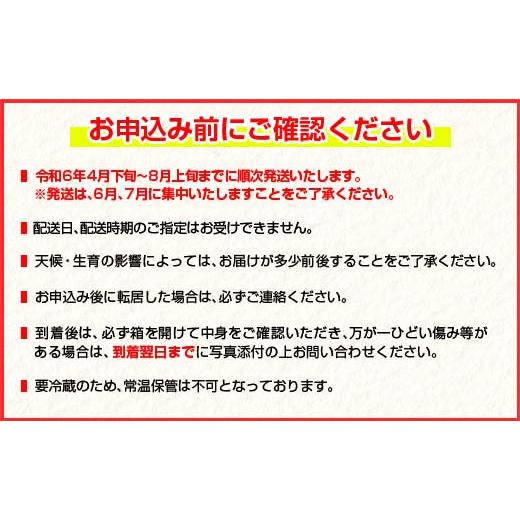 ふるさと納税 宮崎県 日南市 ≪数量限定≫日南市産完熟マンゴー(2L以上×9玉) フルーツ 果物 国産 令和6年発送分_HH1-23