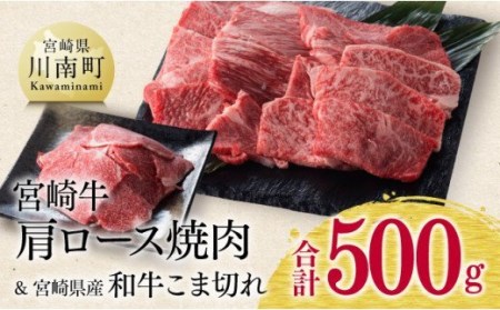 ※令和6年2月より順次発送※宮崎牛 肩ロース 焼肉 300g(宮崎県産 和牛 こま切れ 200g)計500g