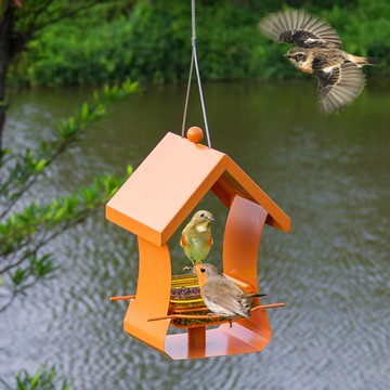 餵鳥器 鳥屋喂鳥器戶外鳥窩鳥食用品小區學校野外鴿子鳥自動喂食器用具 年終特惠