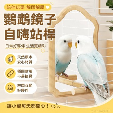 寵物省錢鋪】鸚鵡鏡子自嗨解悶小鳥玩具原木站桿掛籠鏡牡丹虎皮小站臺鳥籠配件 解悶解壓 小太陽鸚鵡 和尚鸚鵡 凱克鸚鵡玩具