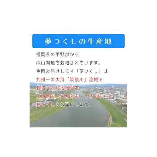 ふるさと納税 福岡県 久留米市 令和５年産　普通精米　福岡県産夢つくし計３回合計30ｋ