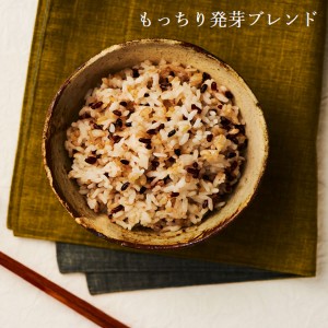 国産発芽玄米ごはん160g×18個