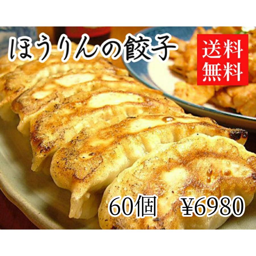 ほうりんの餃子　60個　送料無料　選べるおまけ