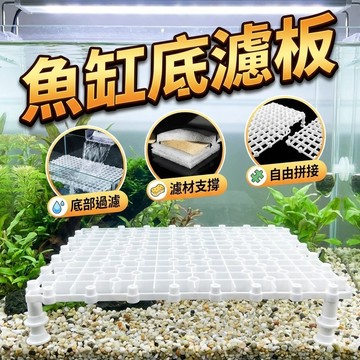 魚缸底濾板 底濾隔板 水族箱濾材墊板 防死水魚缸網格板 烏龜缸曬台
