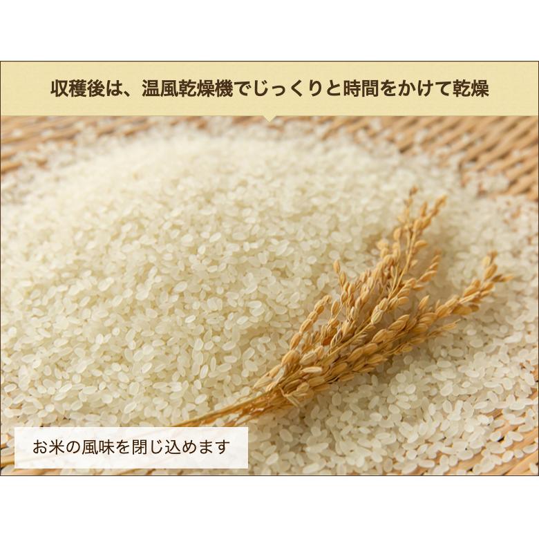 特別栽培米（減農薬・減化学肥料）岩船産コシヒカリ 精米5kg 岩船農産 送料無料