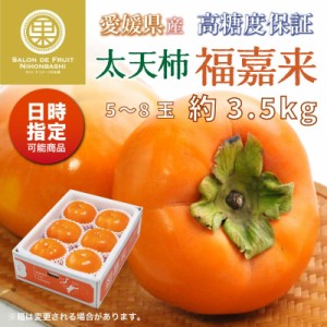 [予約 12月1日-12月20日の納品] 太天柿 福嘉来 約 3.5kg 5-8玉 ふくがき 化粧箱 愛媛県産 甘柿 化粧箱 柿 冬ギフト お歳暮 御歳暮