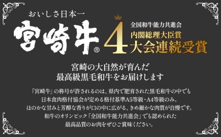 宮崎牛ヒレステーキ（300g）黒毛和牛 