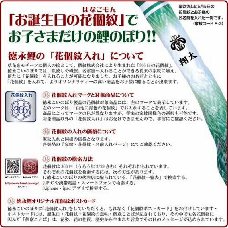 鯉のぼり 金太郎大翔 4m 8点 鯉5匹 徳永鯉 大型セット こいのぼり