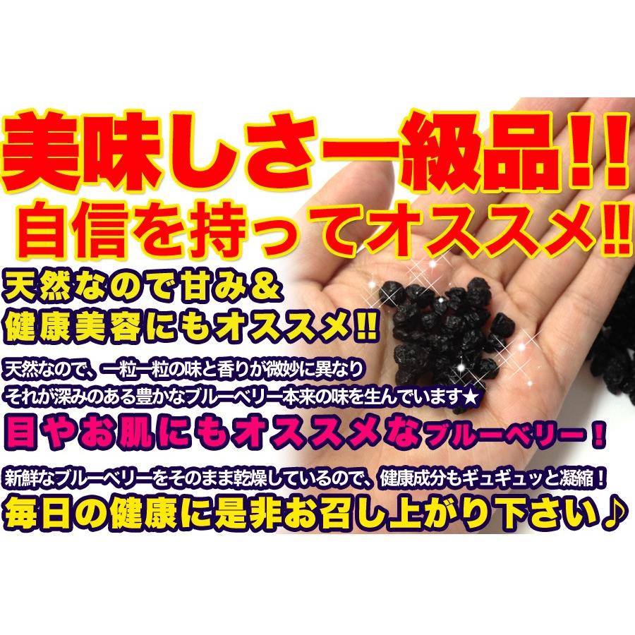ワイルドブルーベリー 1kg×5 ブルーベリー 無添加 ポリフェノール ドライフルーツ 野生種 乾燥フルーツ 果物 フルーツ 美容 健康 業務用 大容量 送料無料