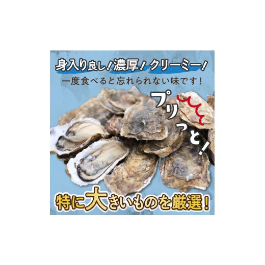 ふるさと納税 北海道 北見市 サロマ湖自慢の殻付きカキ貝 大 3.5kg詰め 牡蠣 かき 濃厚 大きい 魚介類 貝類 殻付 殻付き牡蠣 BBQ バー…