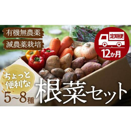 ふるさと納税 愛媛県 大洲市 ちょっと便利な根菜セット（年間パスポート／12か月定期便）