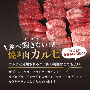 鹿児島県産黒毛和牛焼き肉カルビ　K098-001 薩摩 さつま 大人気牛肉 人気牛肉 鹿児島産牛肉 鹿児島県産牛肉 大人気黒毛和牛 人気黒毛和牛 鹿児島産黒毛和牛 鹿児島県産黒毛和牛 大人気焼肉 人気焼肉 鹿児島産焼肉 鹿児島県産焼肉 大人気カルビ 人気カルビ 鹿児島産カルビ 鹿児島県産カルビ 大人気焼き肉 人気焼き肉 鹿児島産焼き肉 鹿児島県産焼き肉