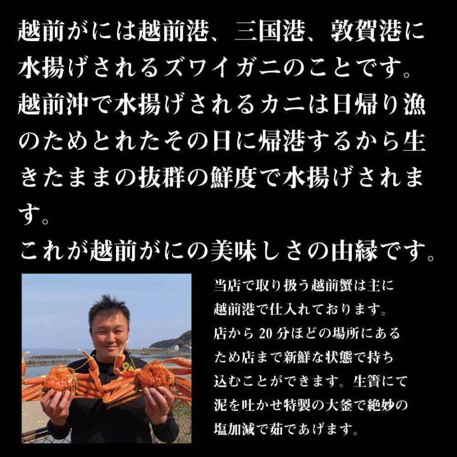 茹で越前がに 1.2kg 1パイ 冷蔵 便 越前ガニ かに カニ 蟹 ズワ イ ズワイガニ お取り寄せ 福井  かに カニ 蟹