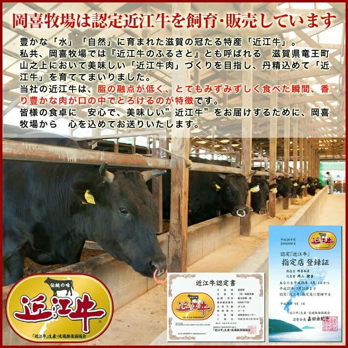 牛肉 総内容量1.1kgバーベキューに最適！近江牛焼肉セット