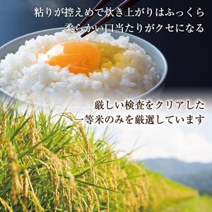 ふるさと納税 令和5年産 福岡県産 ブランド米「夢つくし」白米 計20kg [a0248] 株式会社 ゼロプラス 添田町 ふるさと納税 福岡県添田町