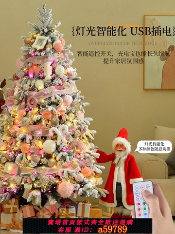 【全網低價 可打統編】2025新款聖誕樹客廳家用diy套餐燈聖誕節pe裝飾樹高階感ins風擺件