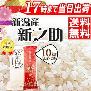 新米 精白米 10kg 新潟県産 新之助 令和5年産 安心安全な特別栽培米(5kg×2))