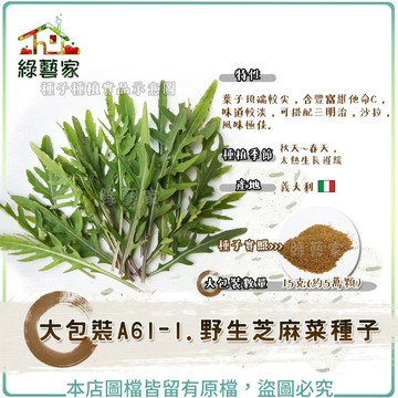 【綠藝家】大包裝A61-1.野生芝麻菜種子15克(約5萬顆) // 葉子頂端較尖，含豐富維他命C，味道較淡