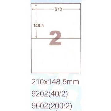 【文具通】阿波羅9602影印自黏標籤貼紙2格210x148.5mm 100入 P1410236