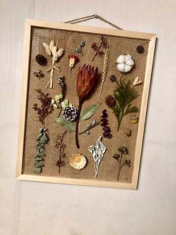 鄉村素美天然進口南非公主花太陽花干花素材裝飾畫壁畫材料包大號