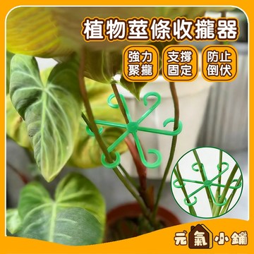 枝條收攏器 植物莖支架 ◁元氣小鋪&現貨附發票▶ 龜背竹專用收攏架 花梗支架 植物支撐架 觀葉植物防倒伏固定器 防倒伏