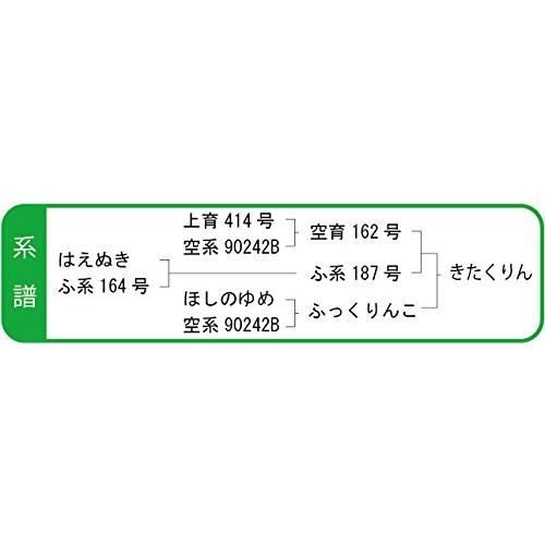 令和4年産　きたくりん　玄米　30kg　農薬節減米　北海道産