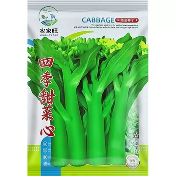 【本土快收】正宗四九菜心種子｜30天採收 脆嫩無渣｜火鍋炒菜必備｜台灣農友好評 原裝保證｜陽台盆栽新手首選｜附簡易教學