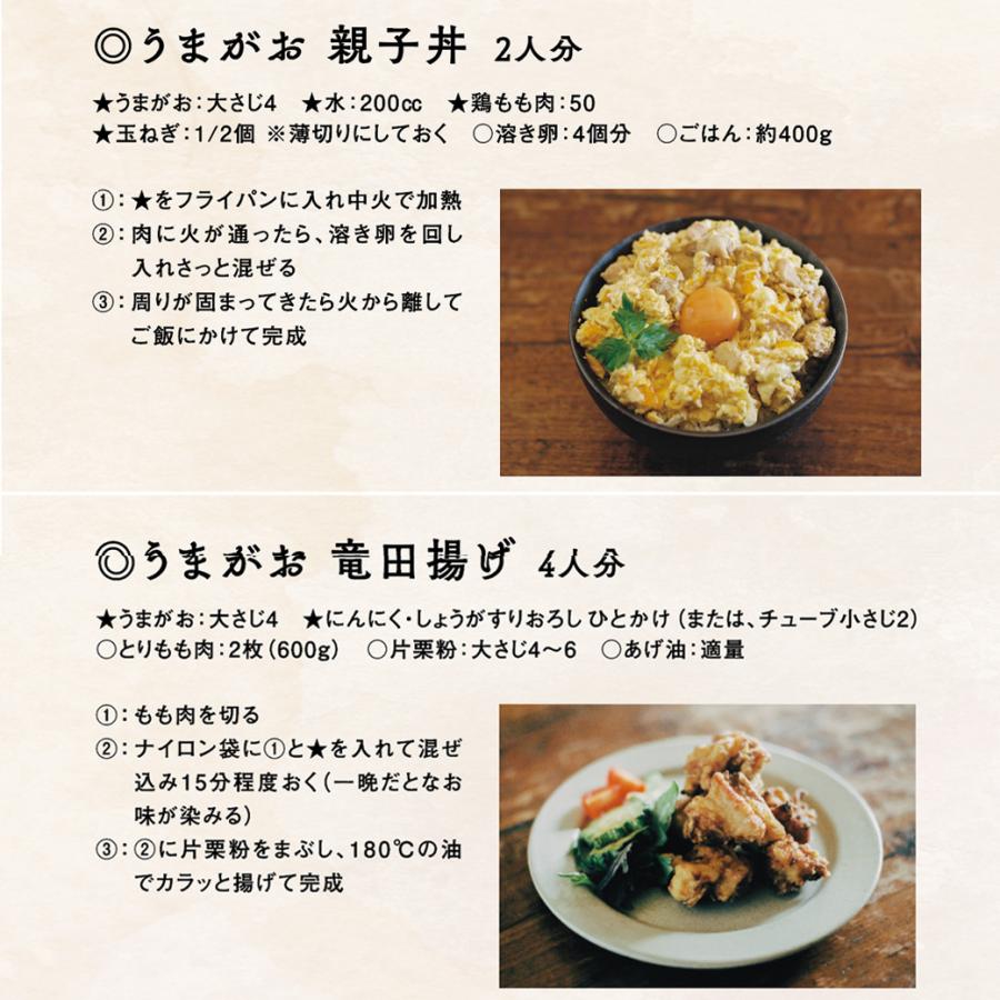 島根県 お土産 島根県特産品 ギフト 詰合せ 出汁 だし ラーメン 麺類 うまがお うま味だし 1本 らーめん 味噌 豚骨 醤油 ３種 セット