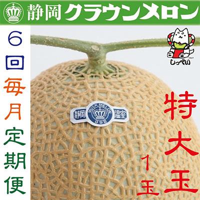 ふるさと納税 磐田市 クラウンメロン(白等級)特大玉1玉・6ヵ月毎月お届け全6回