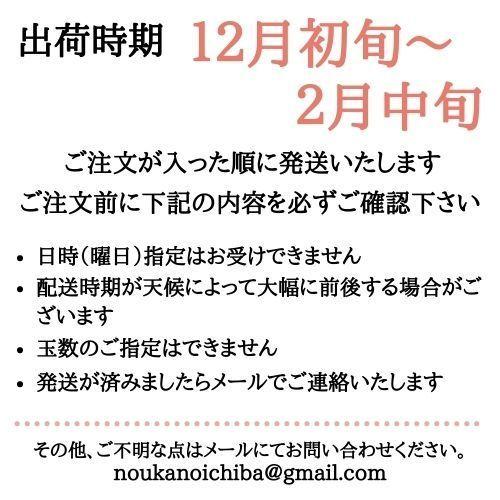 りんご サンふじ 3L ３kg 箱（約9〜10個入り） 産地直送 送料無料 12月上旬〜順次発送 福島 りんご屋さとう