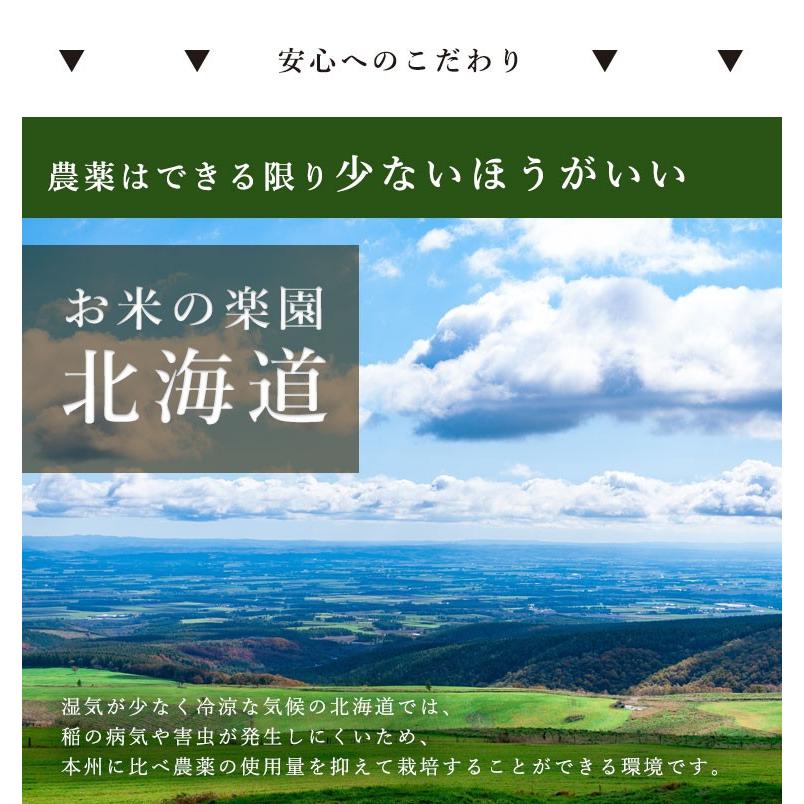 新米　令和５年度産　米　送料無料　北海道産　ホワイトライス減農薬米CL ななつぼし 10kg　 無洗米・玄米・白米　放射能検査検査済