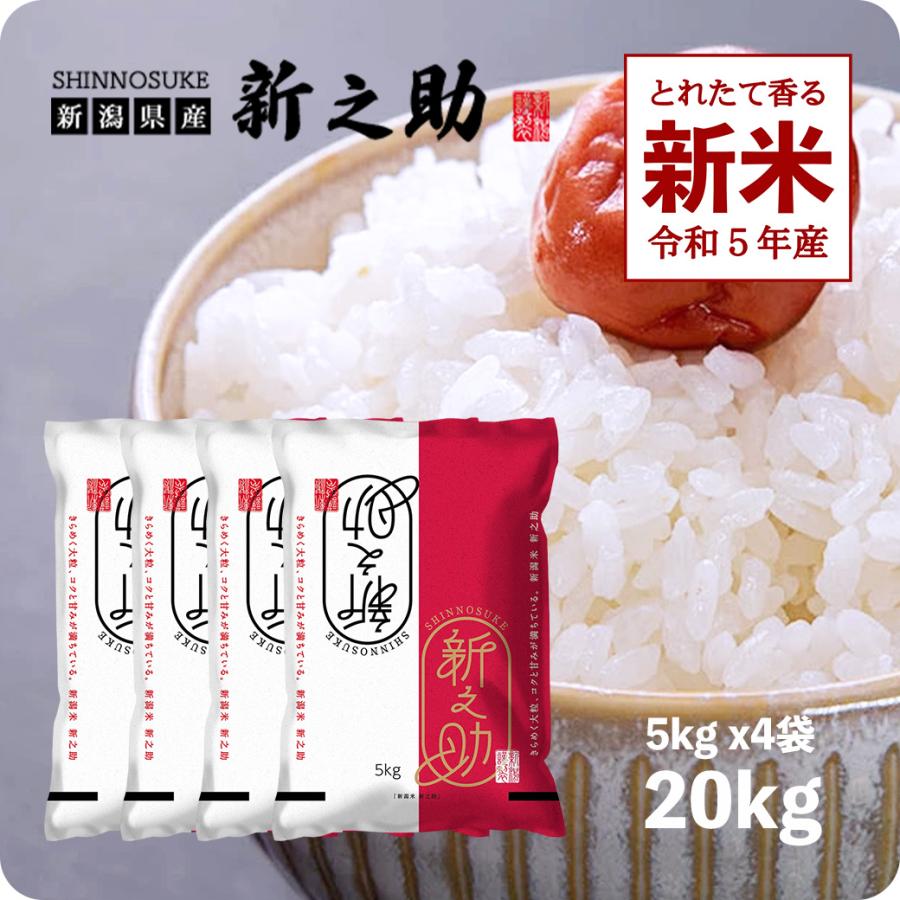 新米 20kg 新之助 お米 20キロ 令和5年産 新潟県産 一等米 しんのすけ 送料無料 白米 産直 精米 5kgx4袋