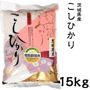 米 日本米 Aランク 令和4年度産 茨城県産 こしひかり 15kg