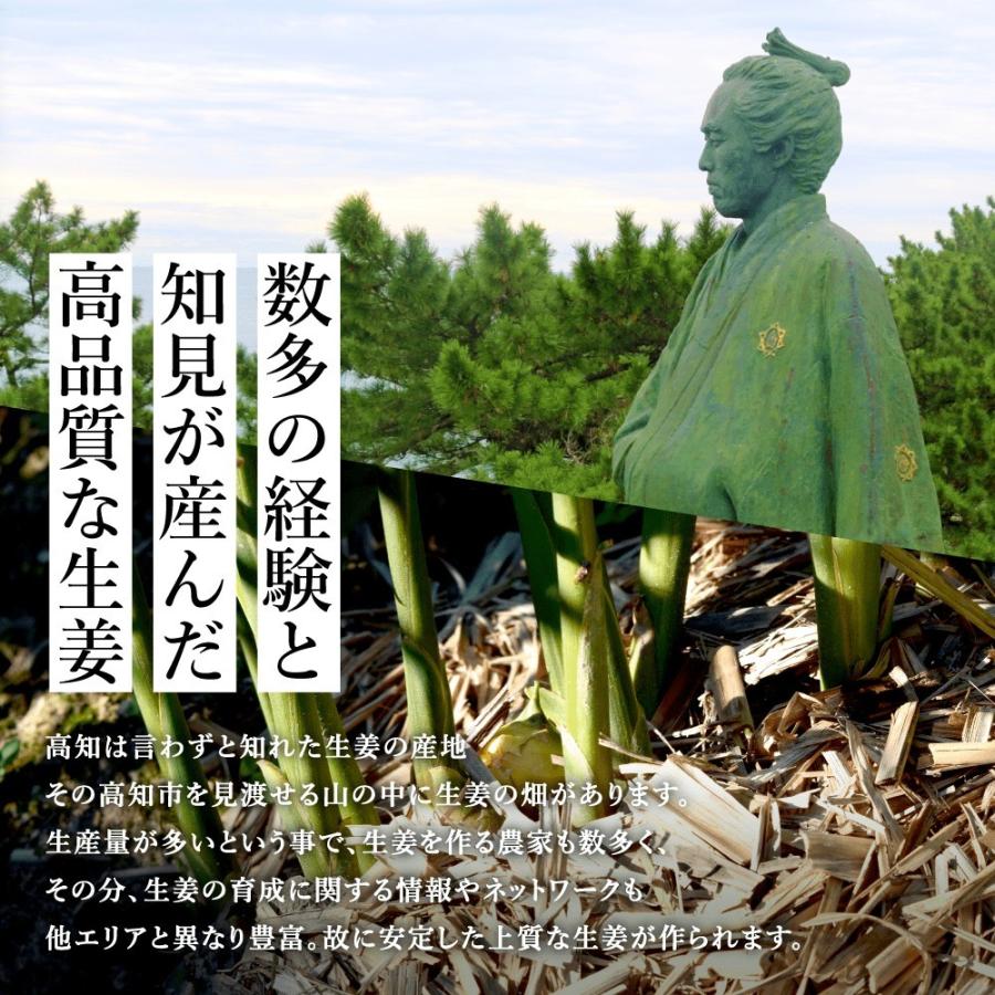 無農薬 生姜 1kg 高知県産 国産 送料無料 生姜 しょうが ショウガ 根生姜 佃煮 薬味 きざみ 生姜 生姜焼き 唐揚げ